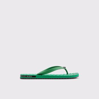 ALDO Rickle Flip Flop Herr Gröna | 1829073-DA