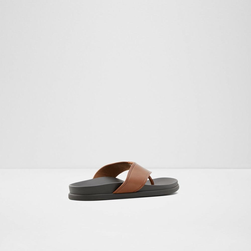 ALDO Afuthien Flip Flop Herr Bruna | 5720643-ZH