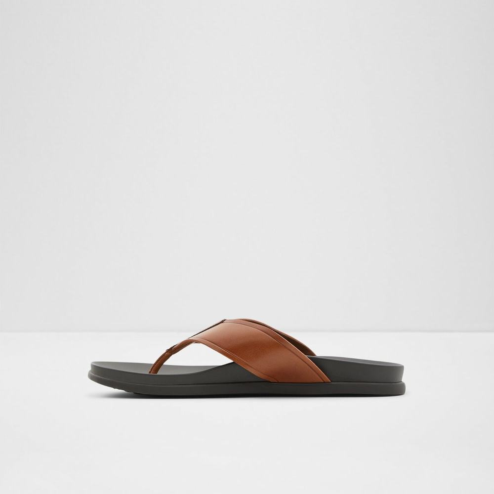 ALDO Afuthien Flip Flop Herr Bruna | 5720643-ZH