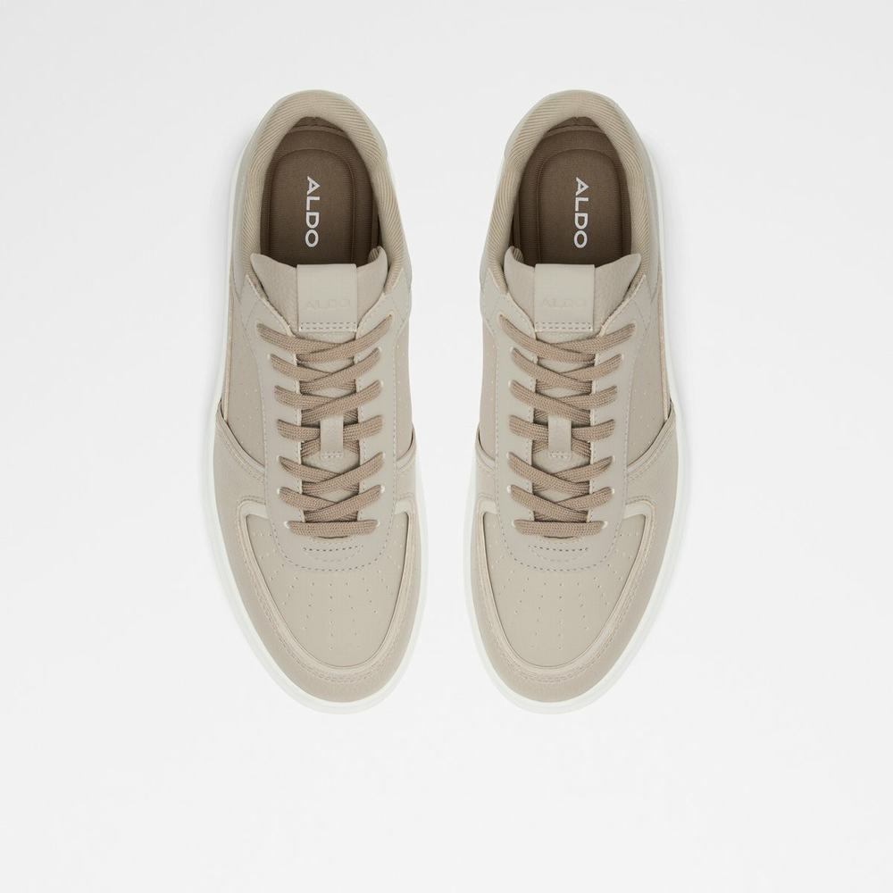 ALDO Drishtia Sneakers Herr Bruna | 9582140-NJ