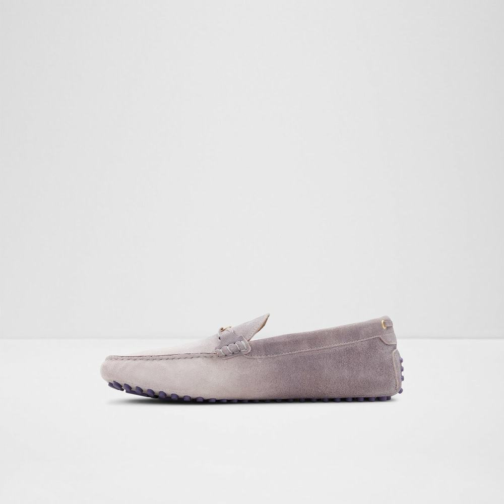 ALDO Guyaume Loafers Herr Ljuslila | 5814796-VQ