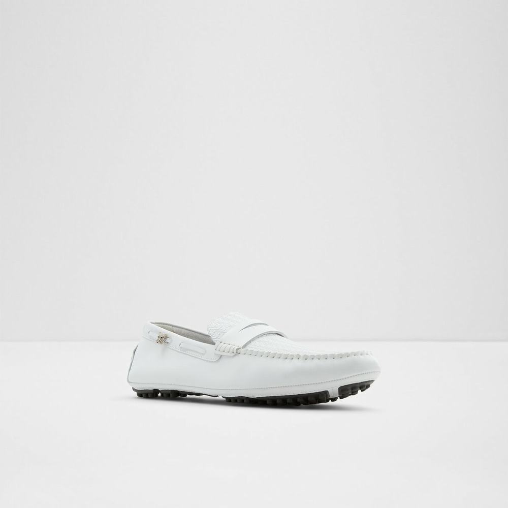 ALDO Kohn Loafers Herr Vita | 3170956-NA