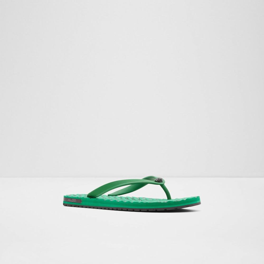 ALDO Rickle Flip Flop Herr Gröna | 1829073-DA