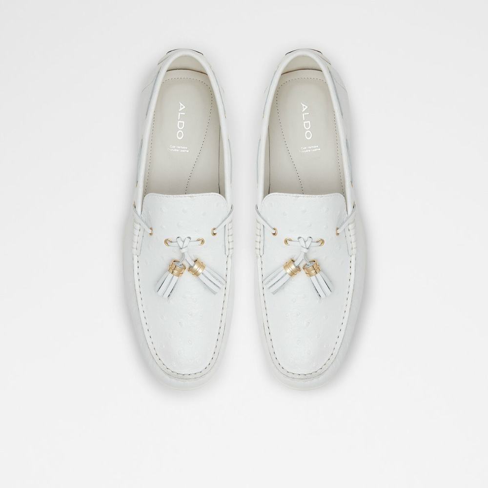 ALDO Sheremo Loafers Herr Vita | 1870524-AM