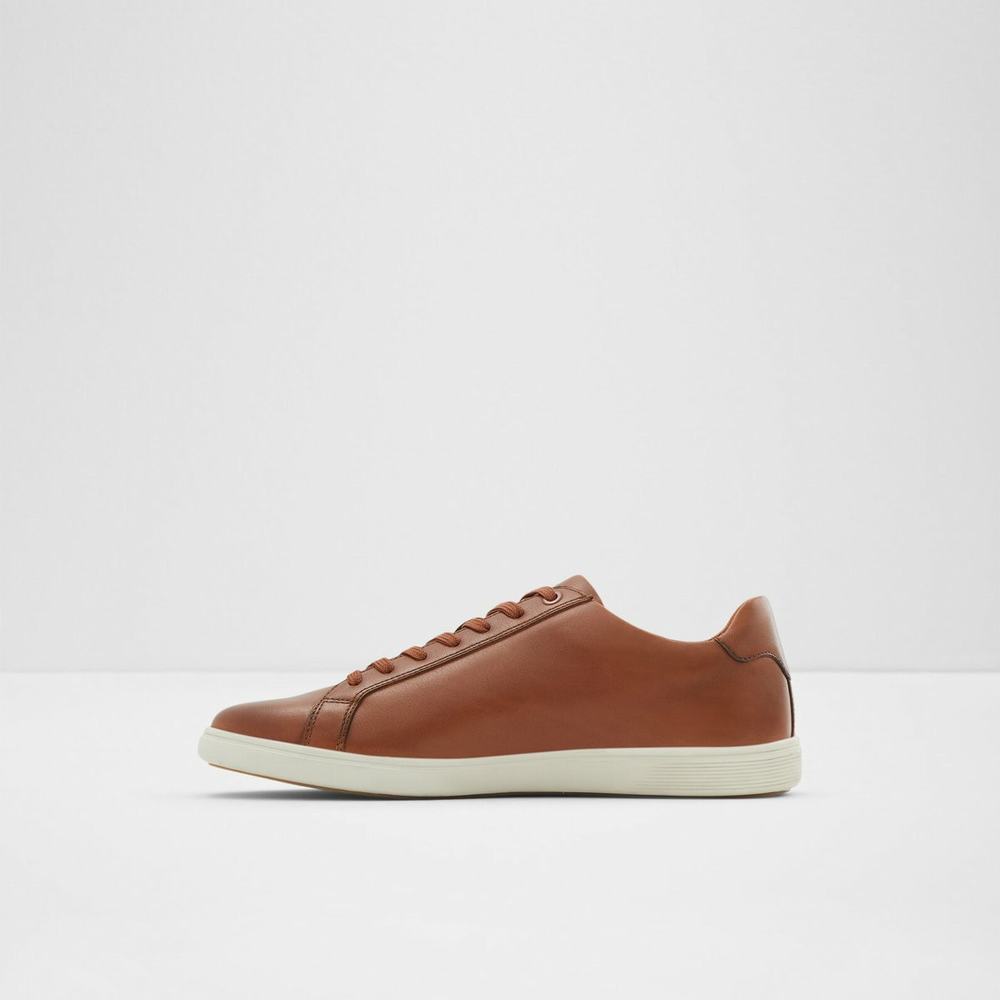 ALDO Wiresien Sneakers Herr Bruna | 1730528-IT