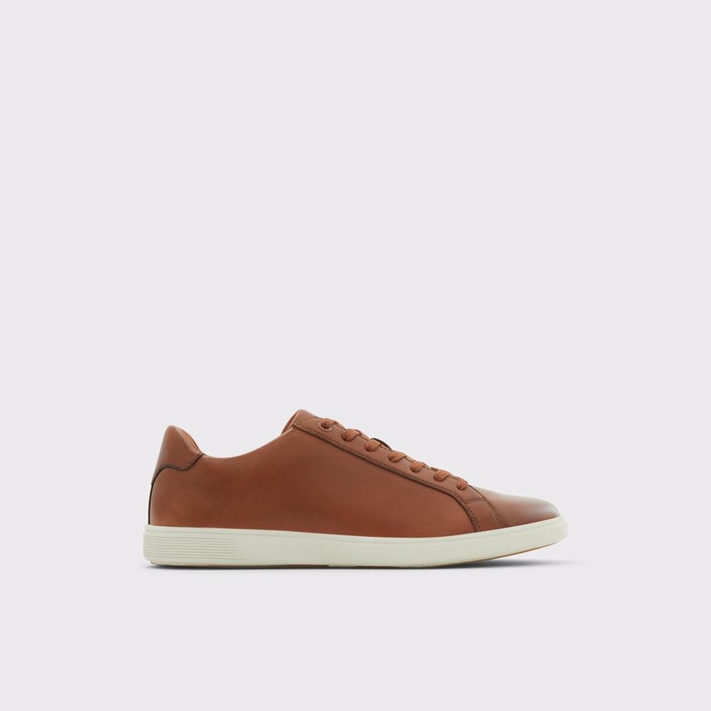 ALDO Wiresien Sneakers Herr Bruna | 1730528-IT